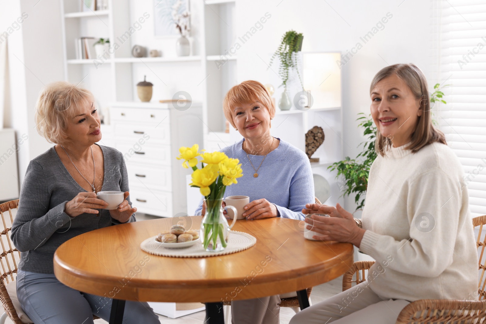 Photo of Friendship. Senior women enjoying hot drinks at table indoors