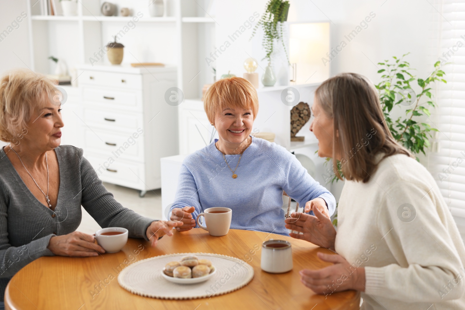 Photo of Friendship. Senior women enjoying hot drinks at table indoors