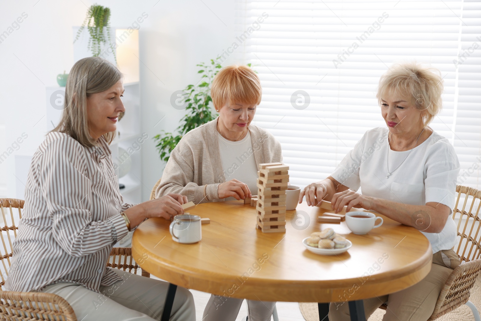 Photo of Friendship. Senior women building tower with wooden blocks at wooden table indoors