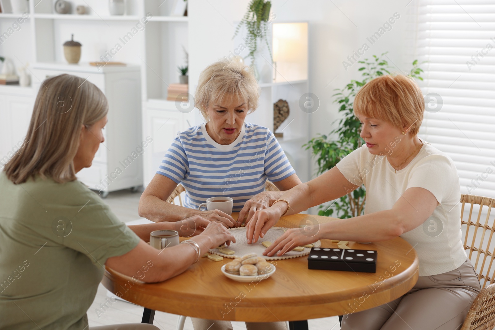 Photo of Friendship. Senior women playing dominoes at wooden table indoors