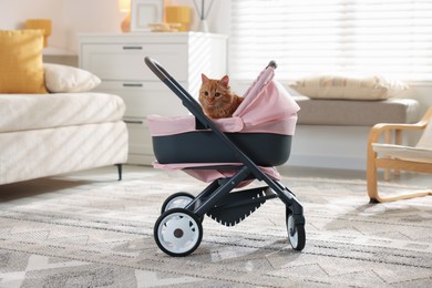 Photo of Cute ginger cat in doll stroller indoors