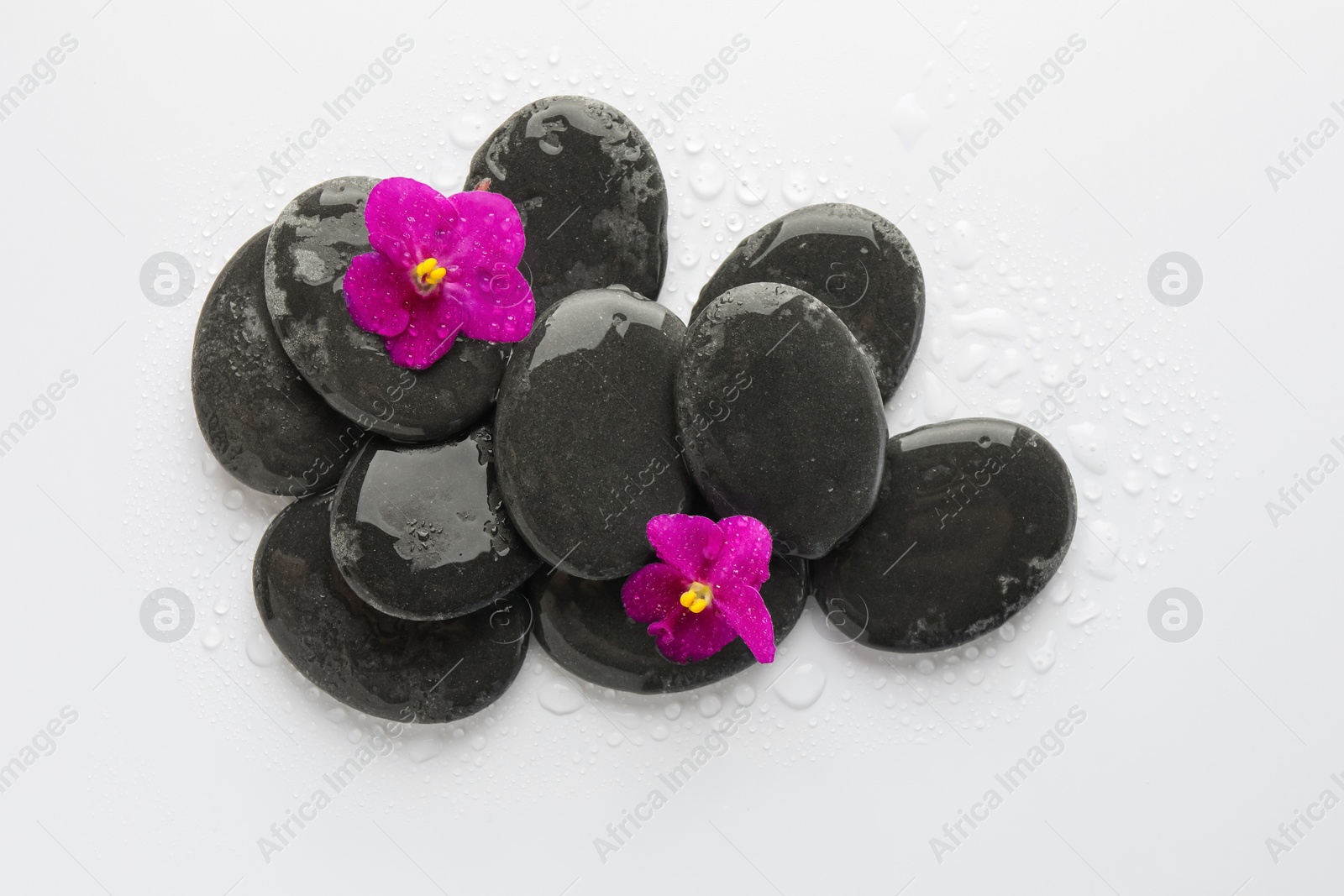 Wet spa stones and beautiful flowers on white background, flat lay Photo of Wet spa stones and beautiful flowers on white background, flat lay