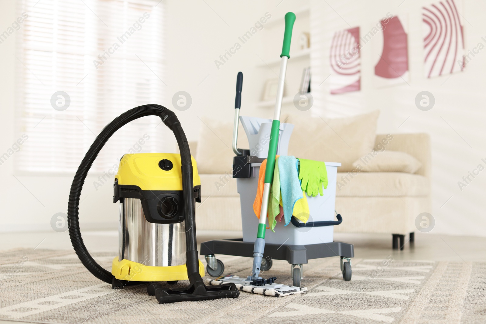 Photo of Professional hoover and cleaning supplies at home