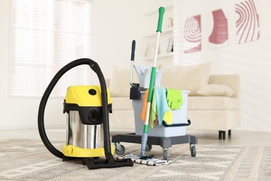 Professional hoover and cleaning supplies at home