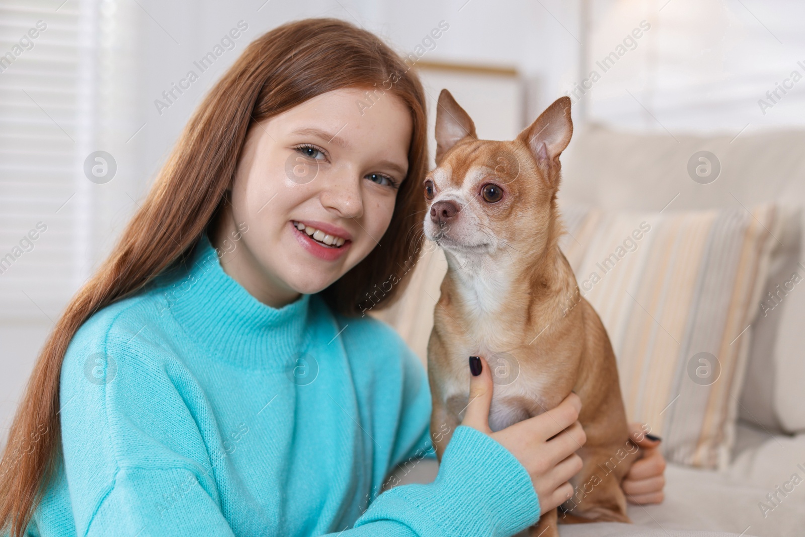 Photo of Teenage girl with her cute Chihuahua dog on sofa at home