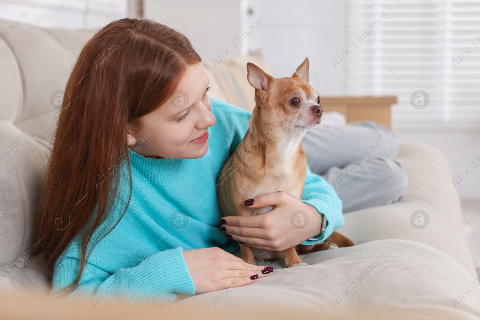 Photo of Teenage girl with her cute Chihuahua dog on sofa at home