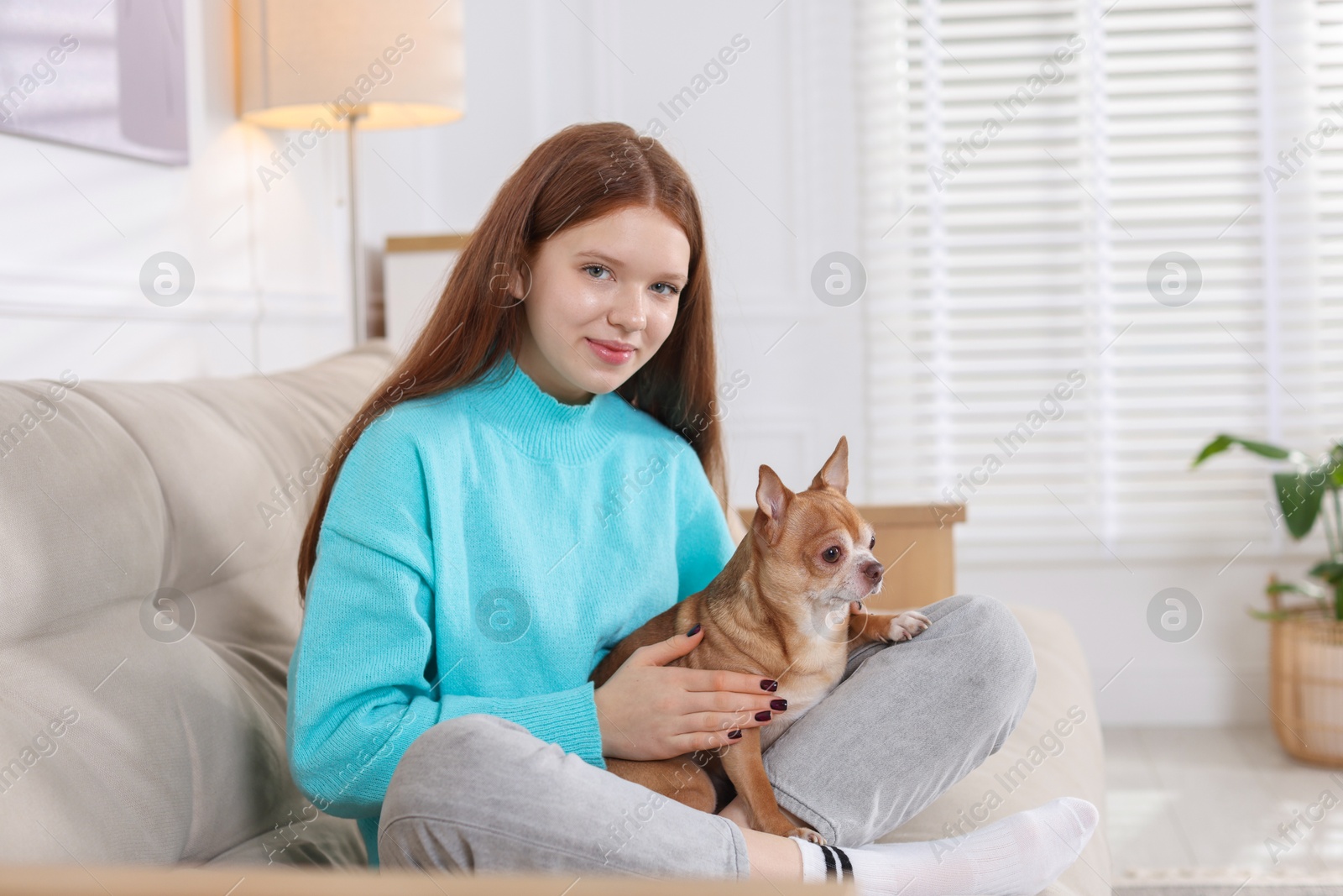 Photo of Teenage girl with her cute Chihuahua dog on sofa at home. Space for text