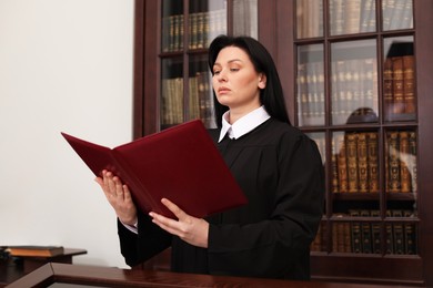 Judge with folder of documents in office