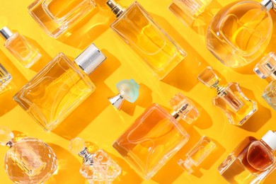 Photo of Bottles of various perfumes on yellow background, flat lay
