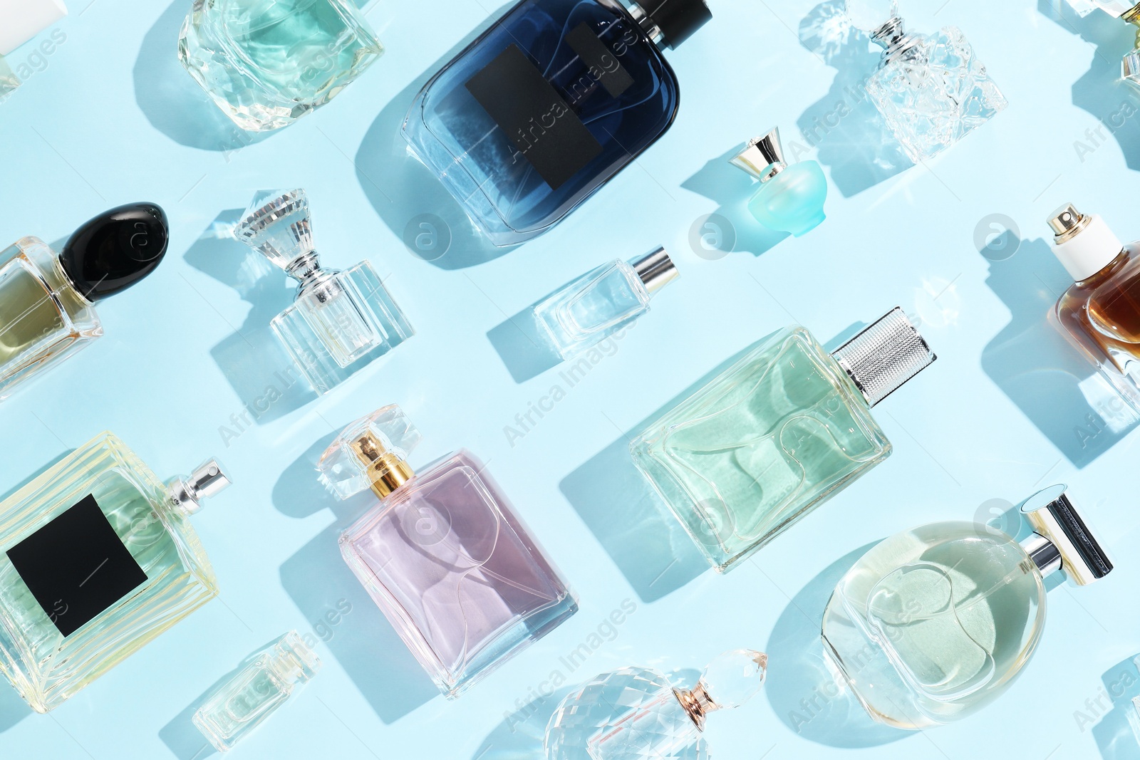 Bottles of various perfumes on light blue background, flat lay Photo of Bottles of various perfumes on light blue background, flat lay