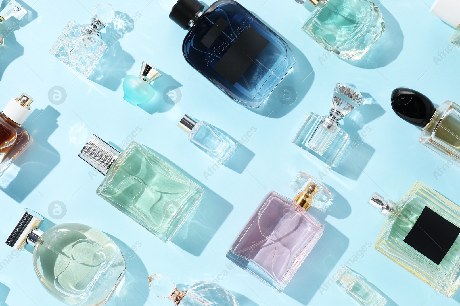 Bottles of various perfumes on light blue background, flat lay Photo of Bottles of various perfumes on light blue background, flat lay