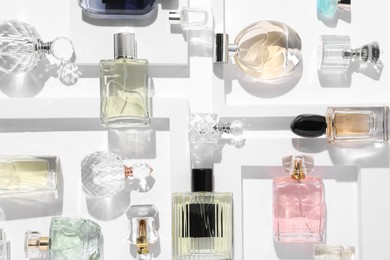 Photo of Different luxury perfumes on white background, flat lay