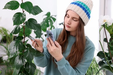 Photo of Woman using houseplant recognition application on smartphone indoors