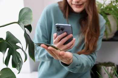 Photo of Woman using houseplant recognition application on smartphone indoors, closeup