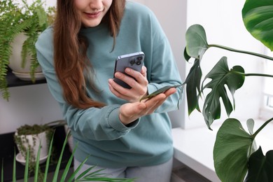 Photo of Woman using houseplant recognition application on smartphone indoors, closeup