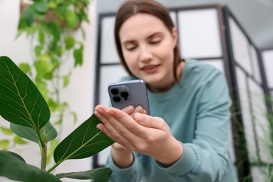 Photo of Woman using houseplant recognition application on smartphone indoors, selective focus