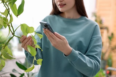 Photo of Woman using houseplant recognition application on smartphone indoors, closeup