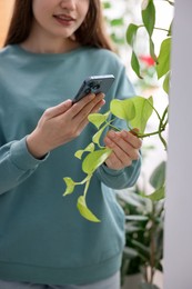 Photo of Woman using houseplant recognition application on smartphone indoors, closeup