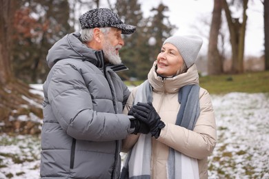 Photo of Happy senior couple holding hands in winter park