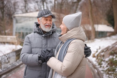 Happy senior couple holding hands in winter park