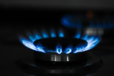 Gas burner with blue flame on stove, closeup