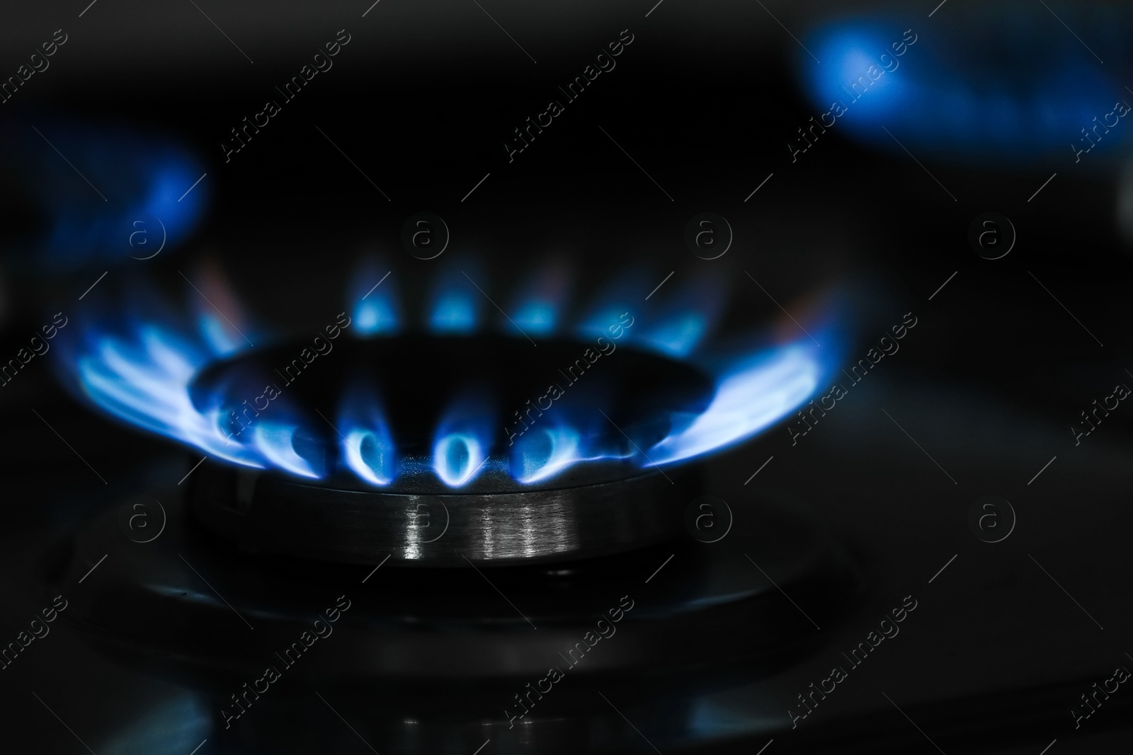 Photo of Gas burners with blue flame on stove, closeup