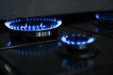 Photo of Gas burners with blue flame on stove, closeup