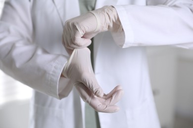 Photo of Medical worker putting on gloves in hospital, closeup