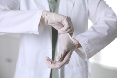 Photo of Medical worker putting on gloves in hospital, closeup