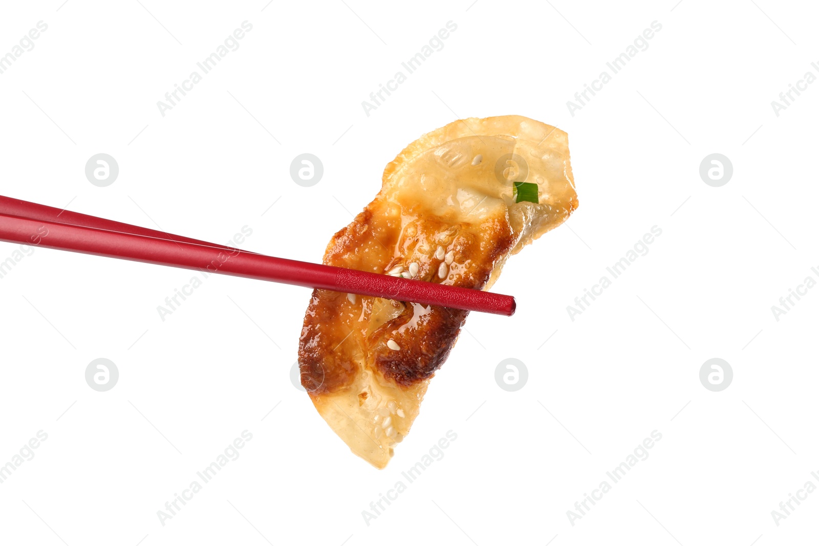 Photo of Holding tasty fried gyoza (dumpling) with chopsticks isolated on white