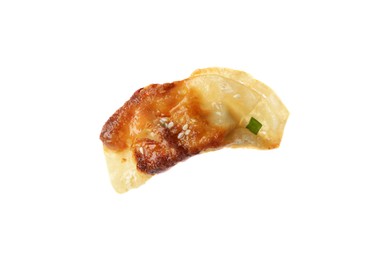 Holding tasty fried gyoza (dumpling) with chopsticks isolated on white