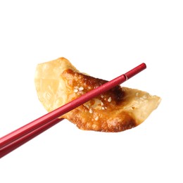 Holding tasty fried gyoza (dumpling) with chopsticks isolated on white