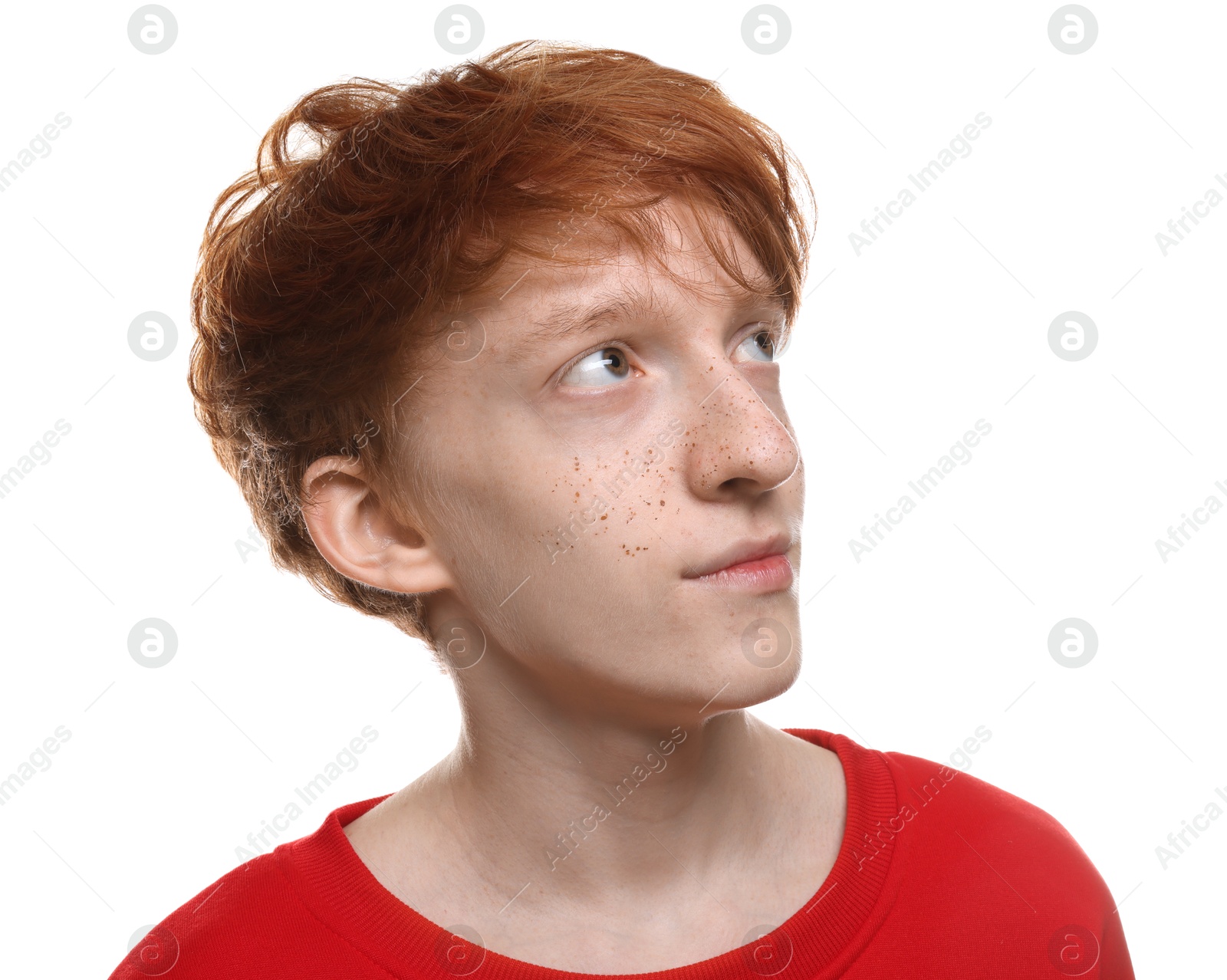 Photo of Cute teenage boy with freckles on white background