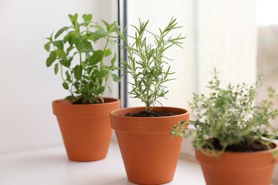 Photo of Different aromatic herbs in pots on window sill