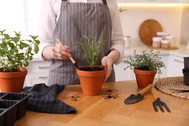 Photo of Woman planting herbs at table in kitchen, closeup