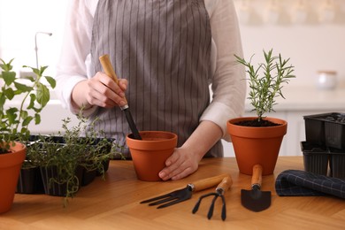 Photo of Woman planting herbs at table in kitchen, closeup