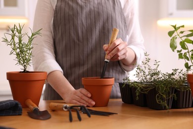 Photo of Woman planting herbs at table in kitchen, closeup