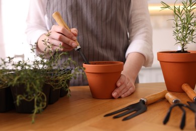 Photo of Woman planting herbs at table in kitchen, closeup