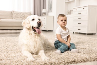 Little boy with cute dog on carpet at home