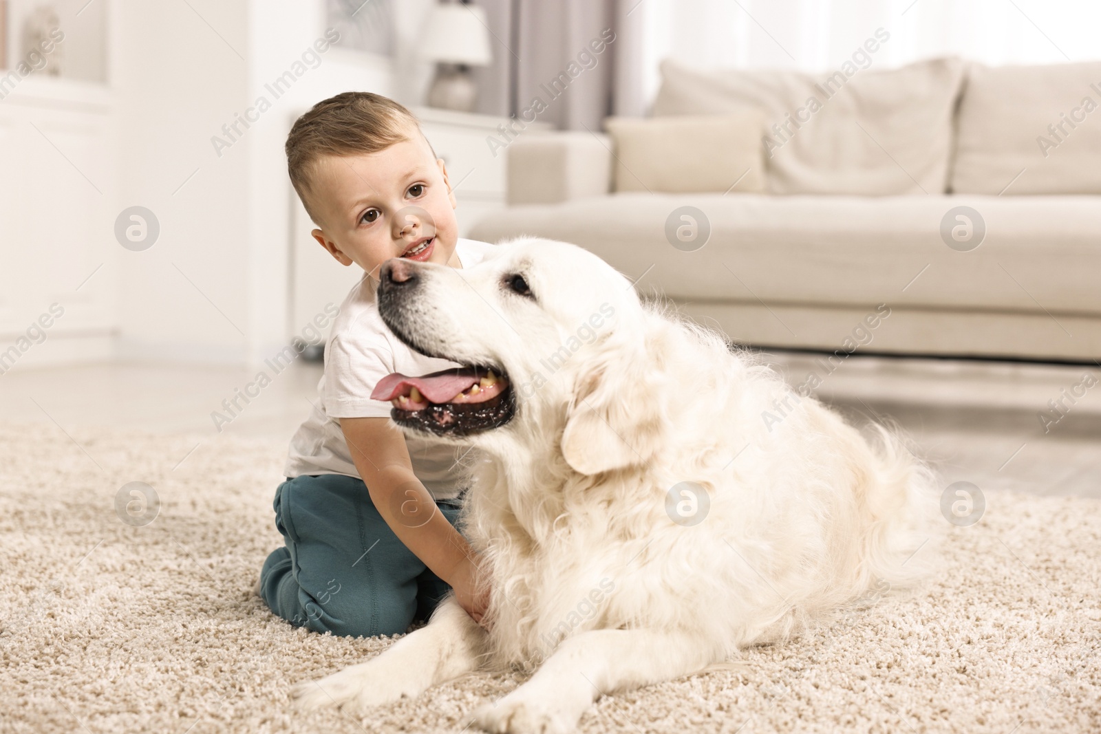 Photo of Little boy with cute dog on carpet at home