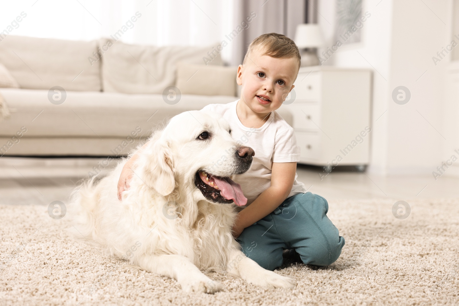 Photo of Little boy with cute dog on carpet at home