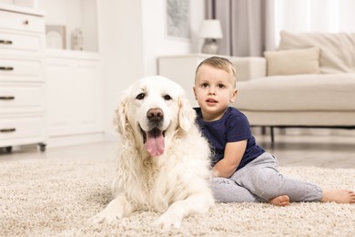 Photo of Little boy with cute dog on carpet at home