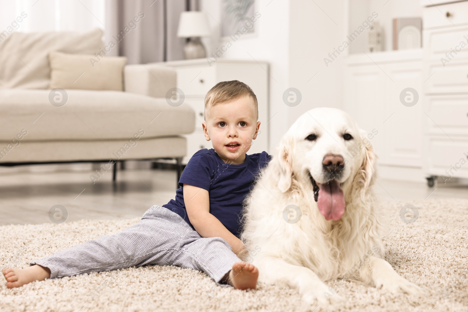 Photo of Little boy with cute dog on carpet at home