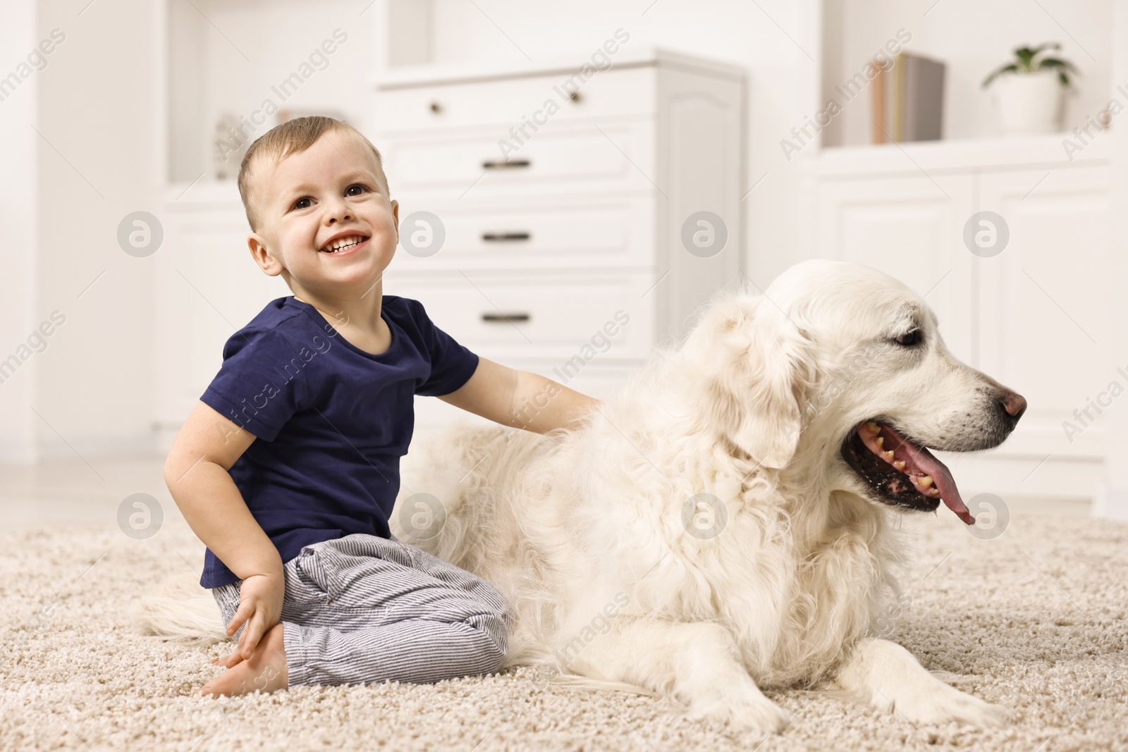 Photo of Happy little boy with cute dog on carpet at home