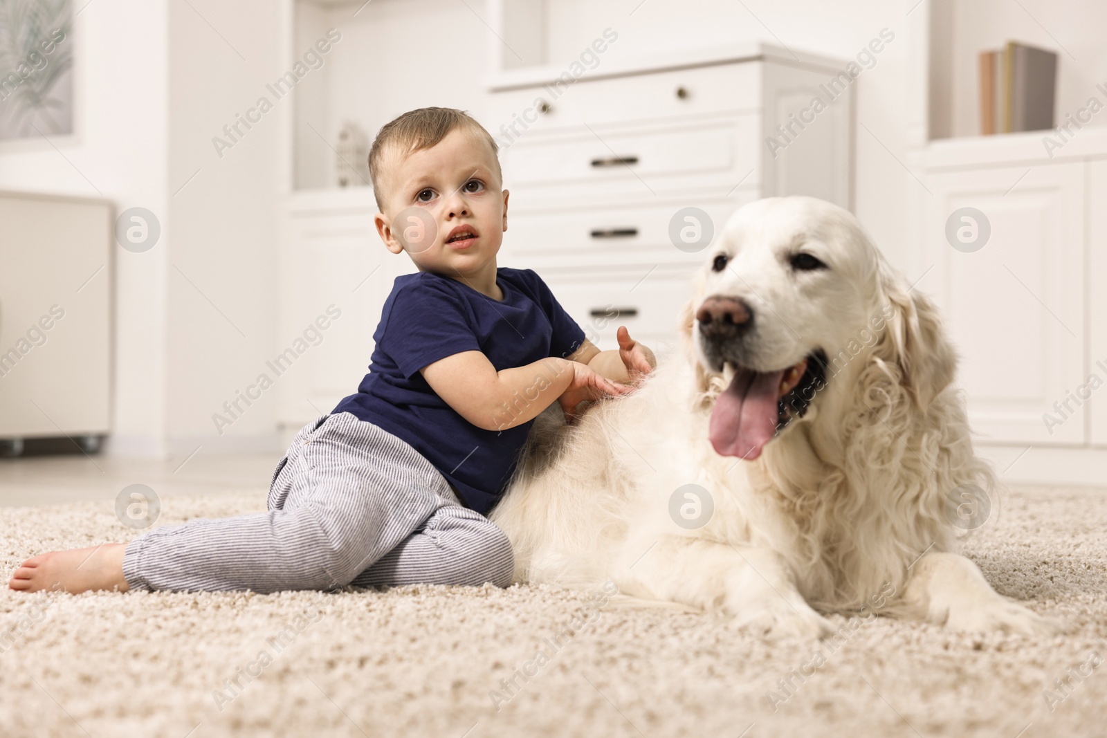 Photo of Little boy with cute dog on carpet at home