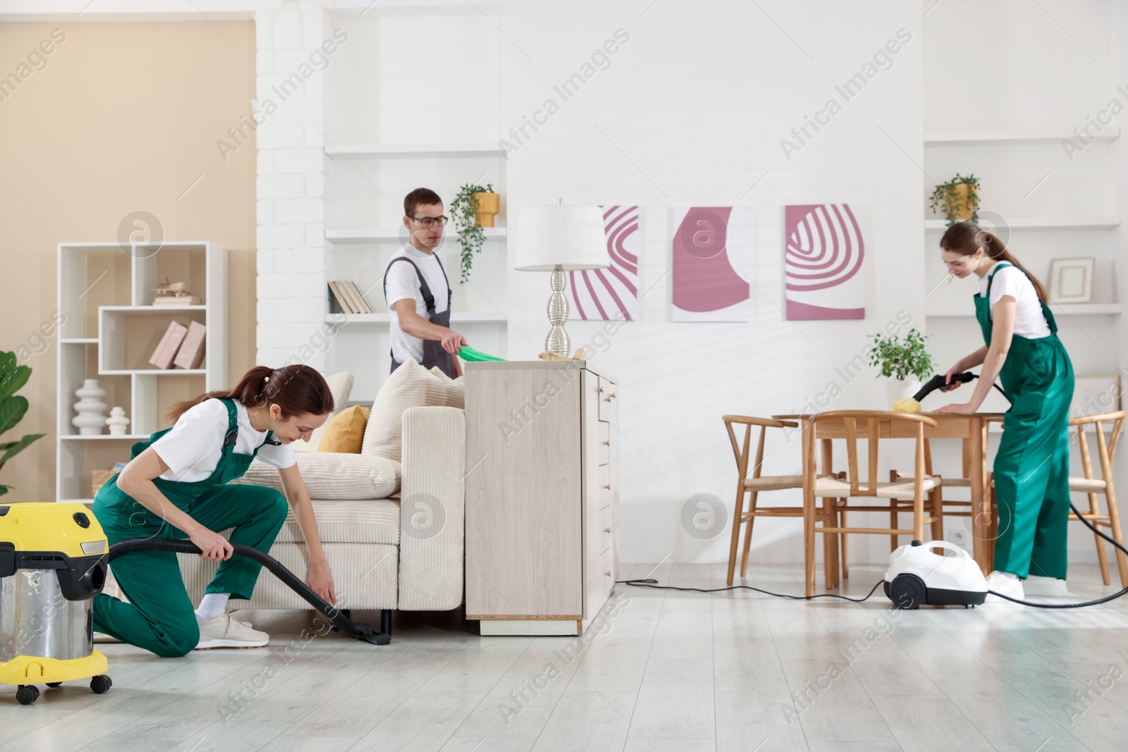 Photo of Professional cleaning service team working in room