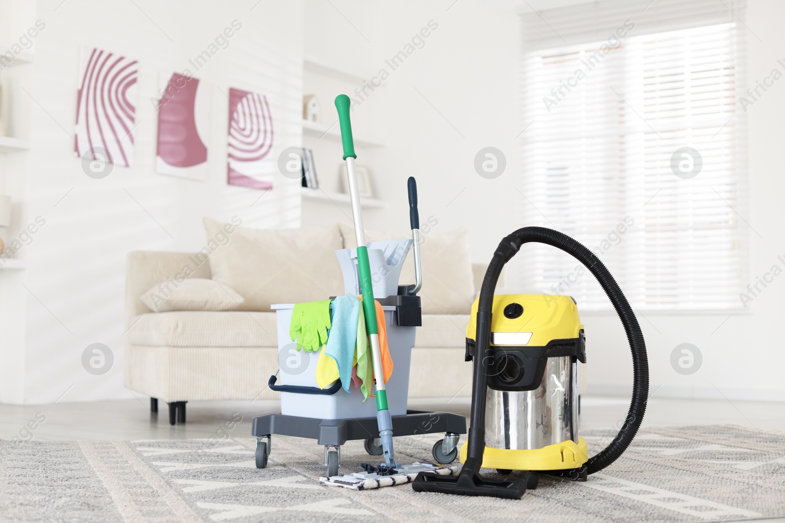 Photo of Professional hoover and cleaning supplies at home