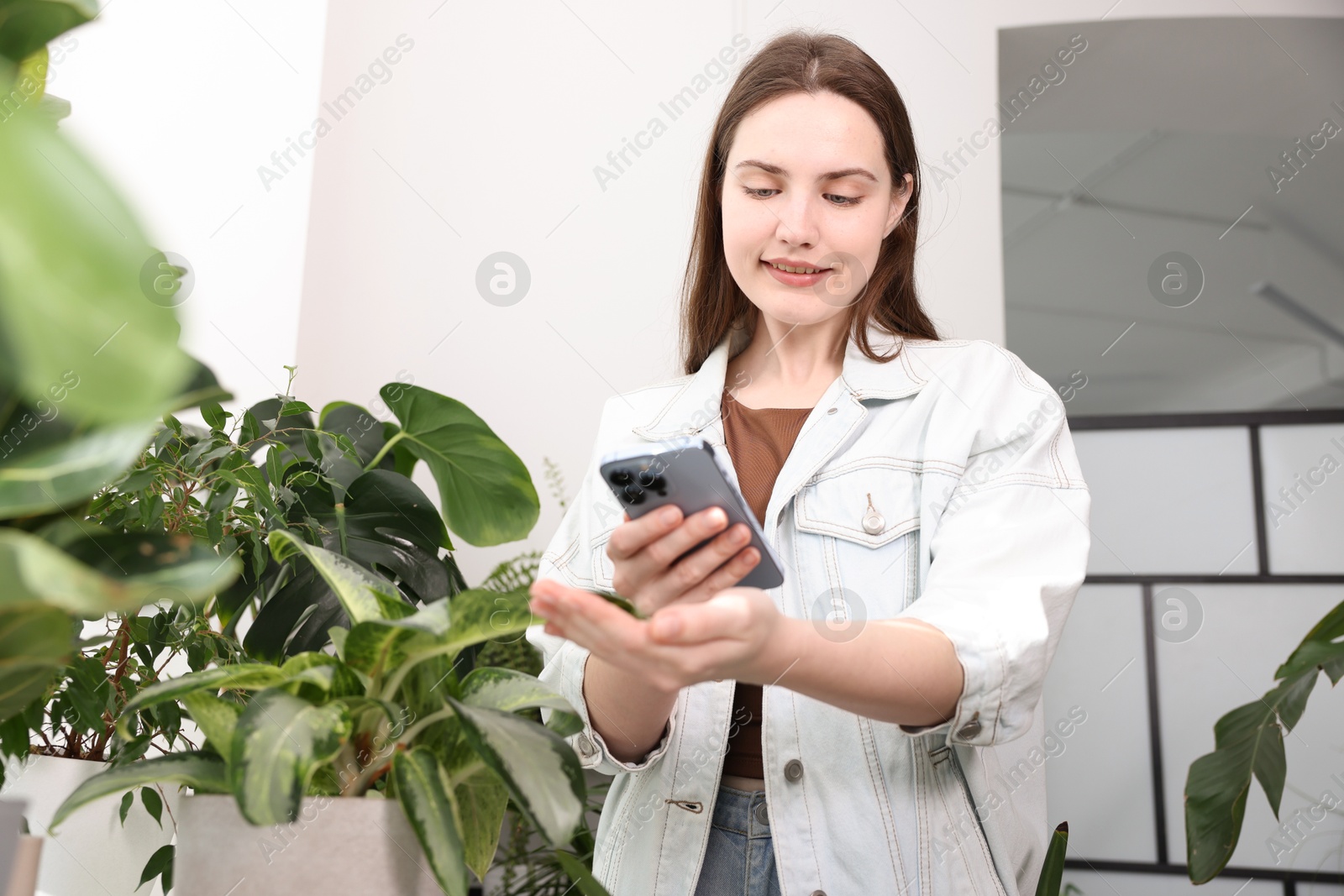 Photo of Woman using houseplant recognition application on smartphone indoors