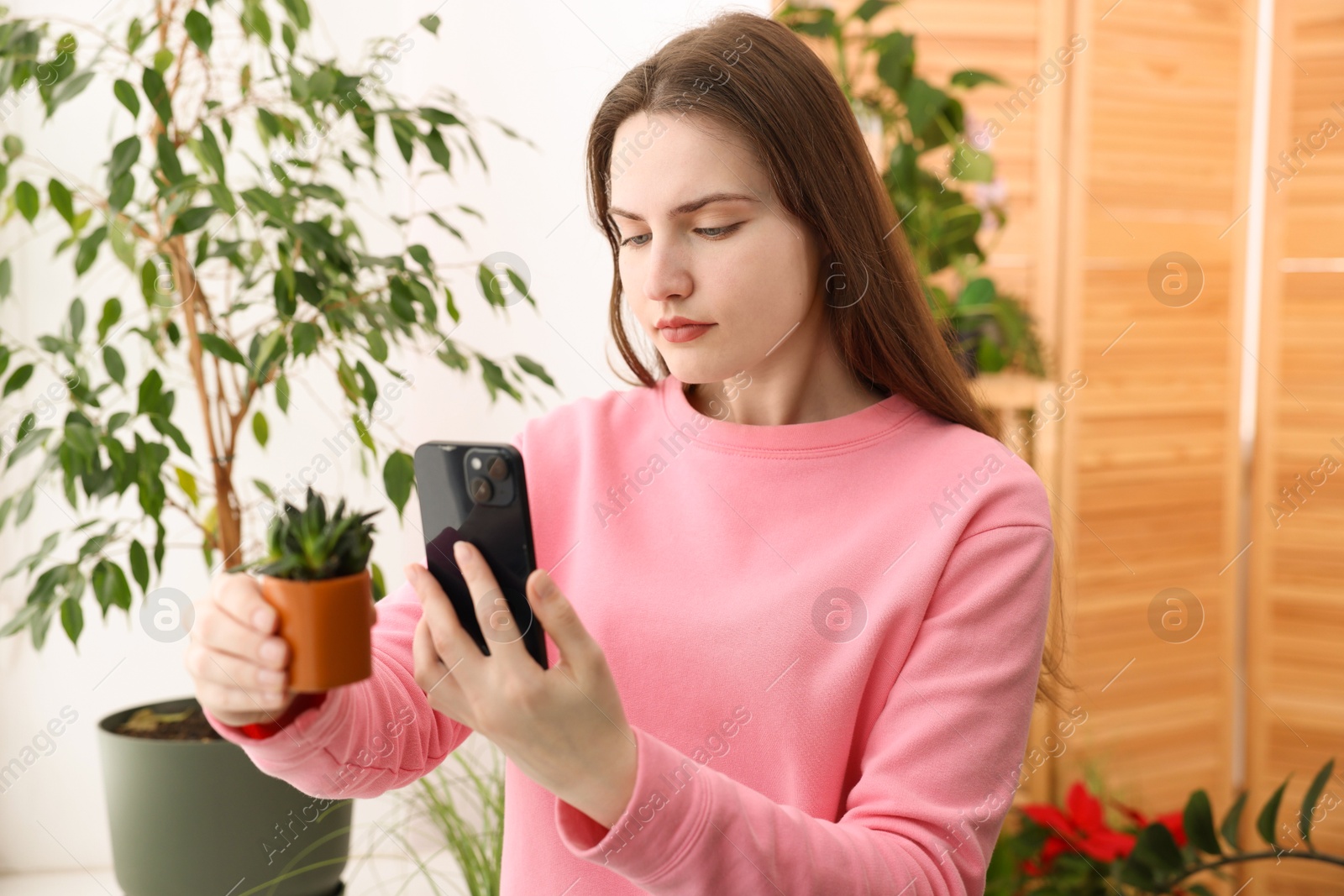 Photo of Woman using houseplant recognition application on smartphone indoors