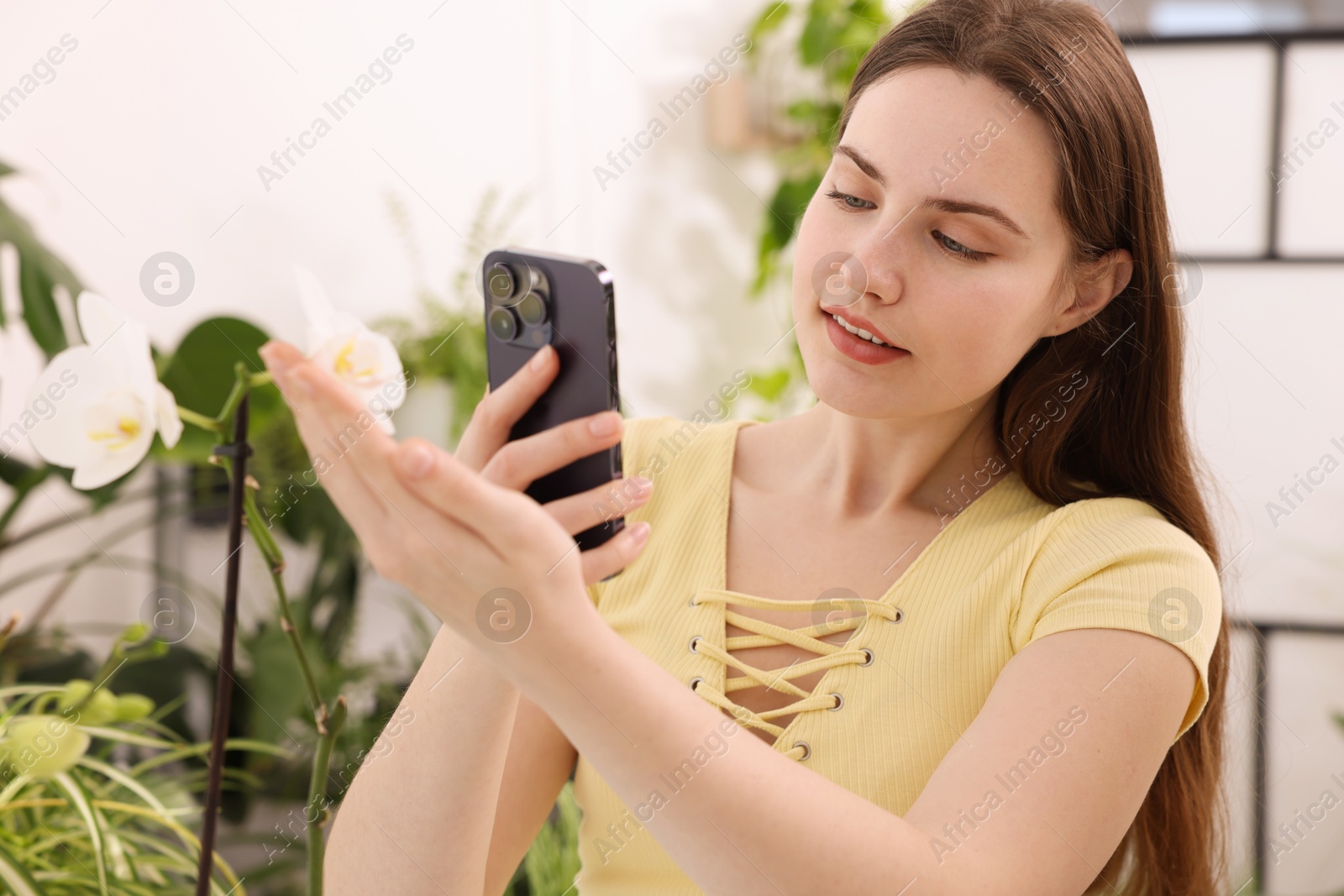 Photo of Woman using houseplant recognition application on smartphone indoors